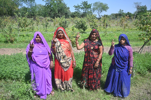 छतरपुर:फ्रूट फॉरेस्ट महिलाओं के आर्थिक सशक्तीकरण का बना माध्यम
