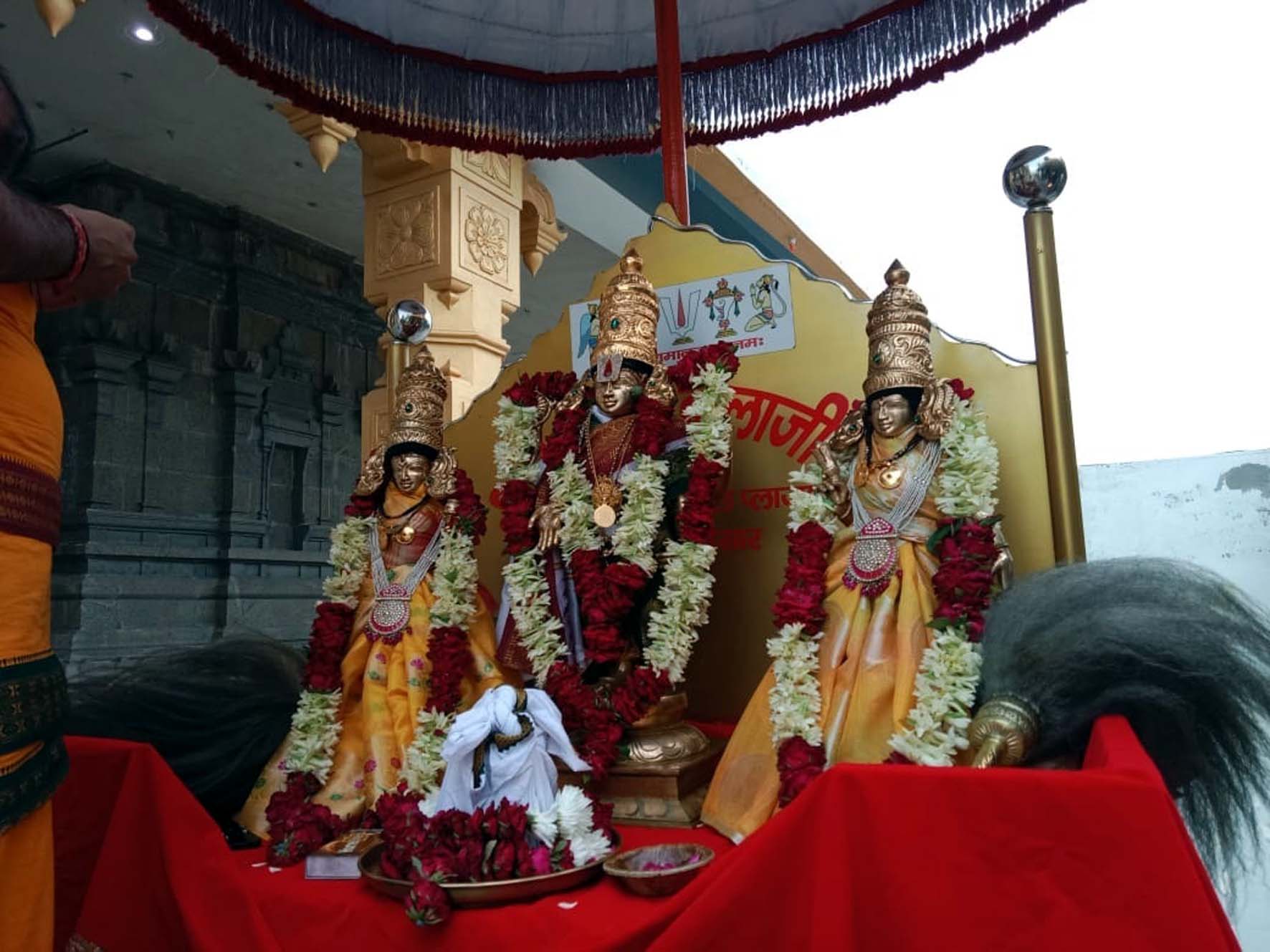 तिरुपति बालाजी धाम में भगवान तिरुपति की सवारी शोभा यात्रा में हिस्सा लेते श्रद्धालुगण। तिरुपति बालाजी धाम में भगवान तिरुपति की सवारी शोभा यात्रा में हिस्सा लेते श्रद्धालुगण।