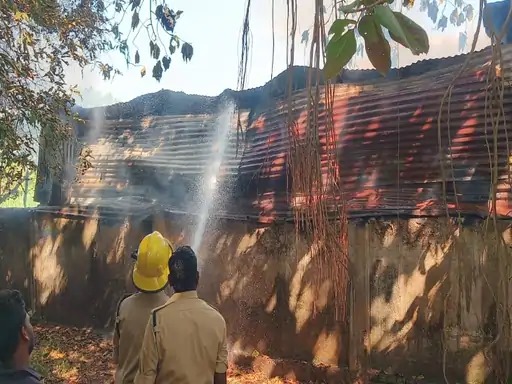 जांजगीर: जयपुरी सोफा रिपेयरिंग और रजाई दुकान में लगी भीषण आग, 20 हजार कैस समेत लाखों का समान जलकर खाक जांजगीर: जयपुरी सोफा रिपेयरिंग और रजाई दुकान में लगी भीषण आग, 20 हजार कैस समेत लाखों का समान जलकर खाक