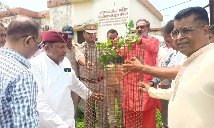 पौधारोपण करते हुए पौधारोपण करते हुए