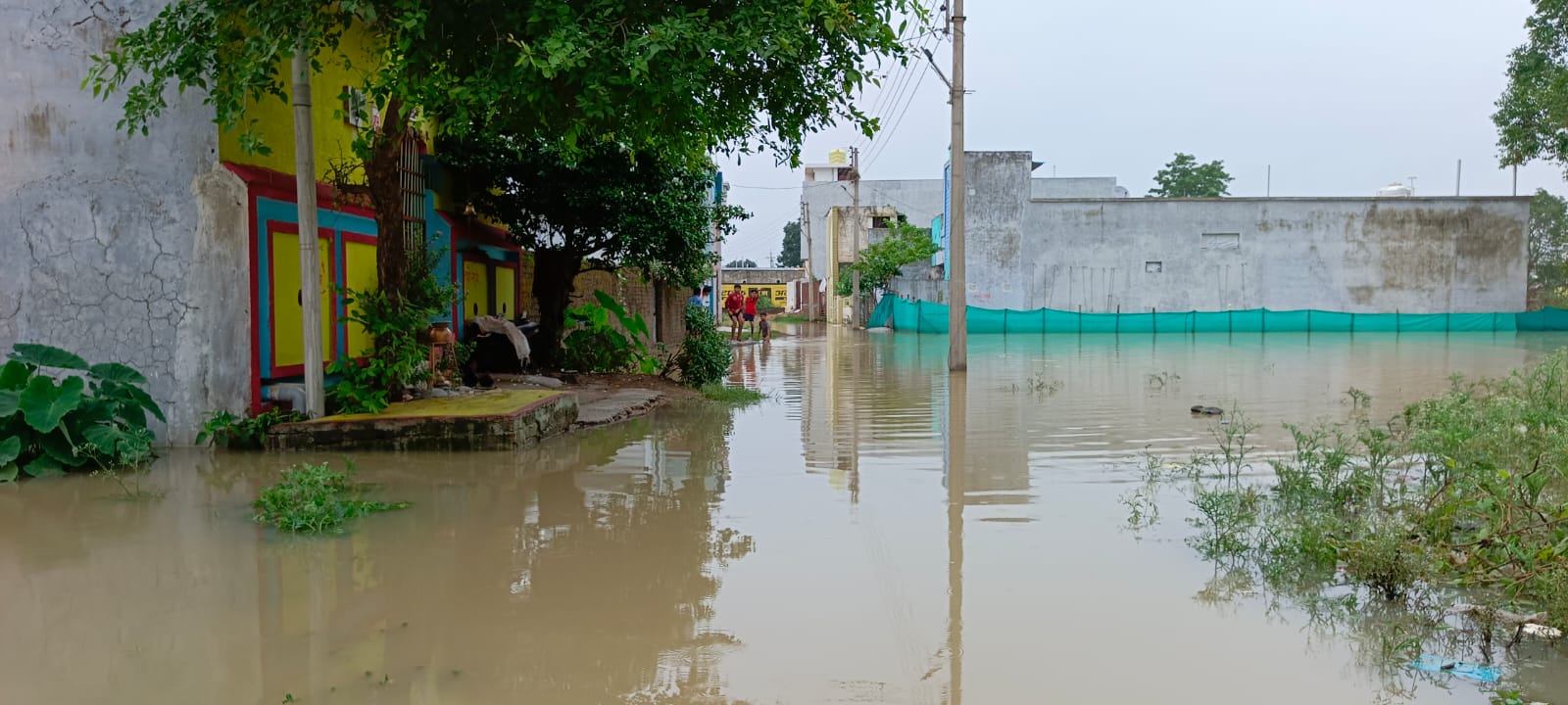 कालोनियों में इस तरह से निकासी के अभाव में भरा हुआ है पानी।