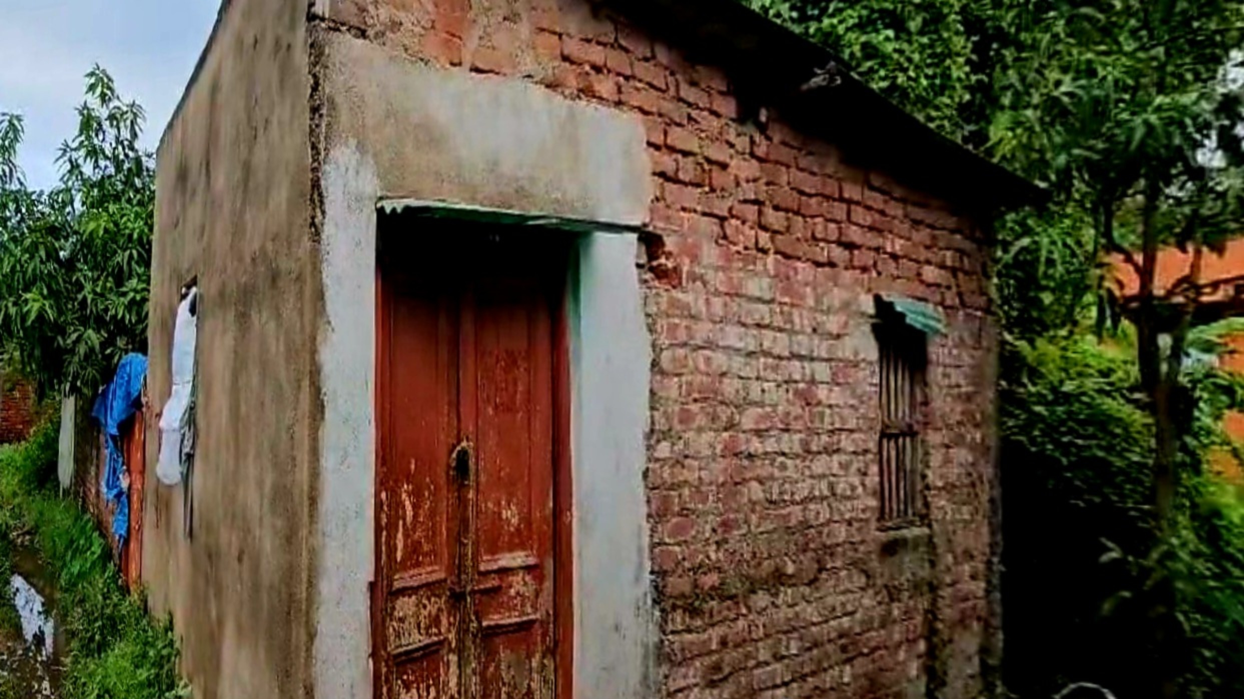 जंगल में मिला वृद्धा का शव जंगल में मिला वृद्धा का शव