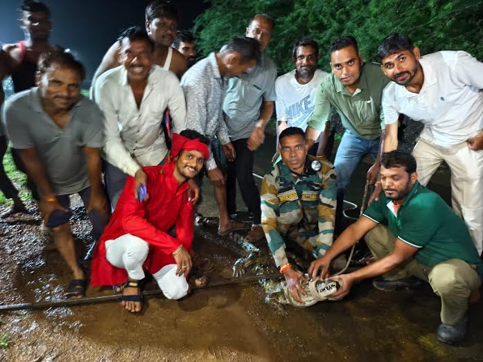 सड़क पर आया मगरमच्छ वन विभाग ने पकड़ा सड़क पर आया मगरमच्छ वन विभाग ने पकड़ा