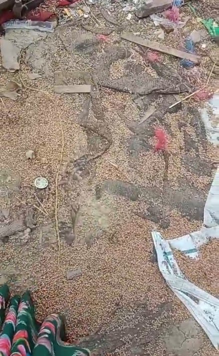 गंदगी की फोटो गंदगी की फोटो