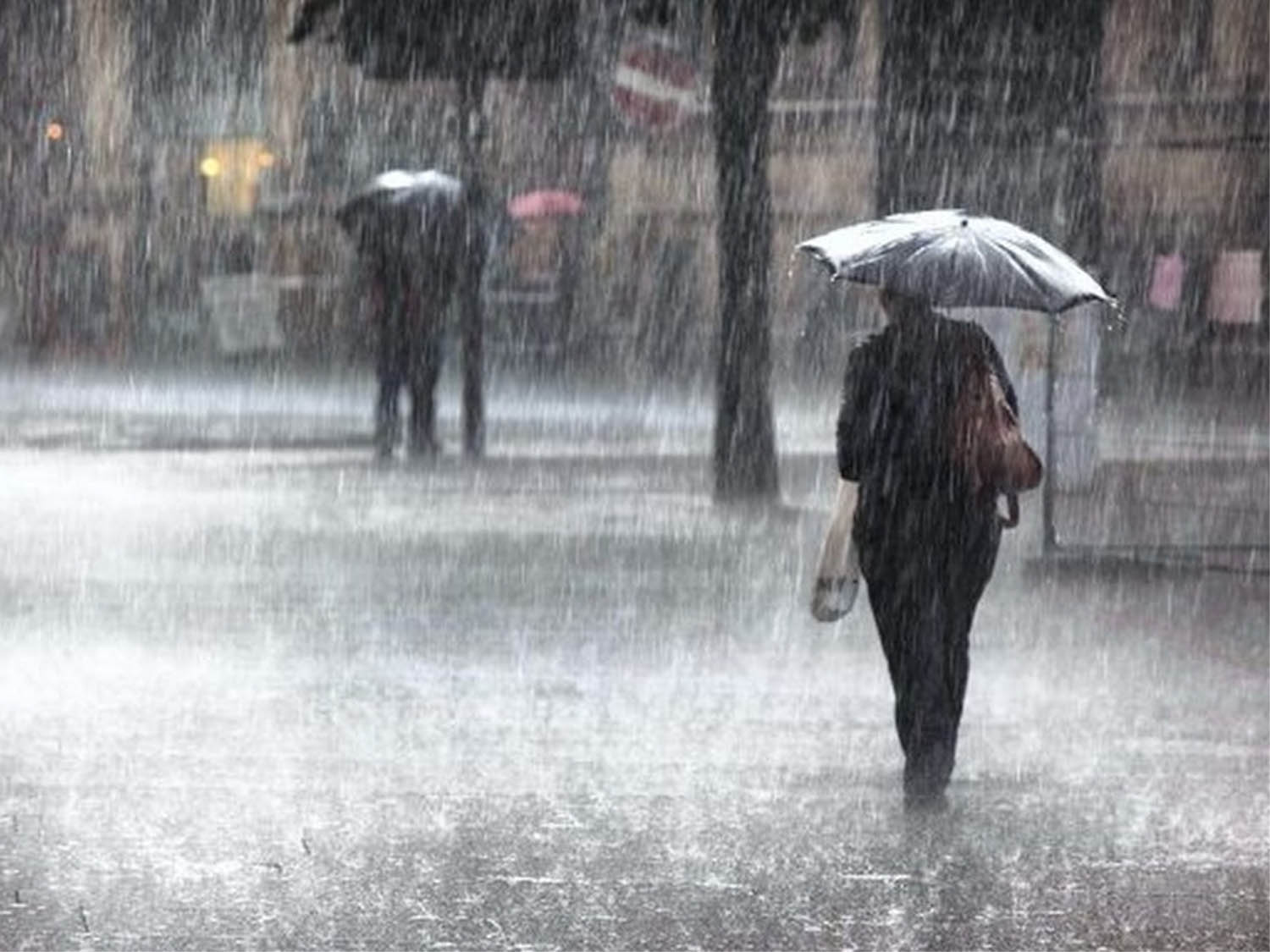 छत्तीसगढ़ में अब तक 548.9 मि.मी. औसत वर्षा दर्ज छत्तीसगढ़ में अब तक 548.9 मि.मी. औसत वर्षा दर्ज