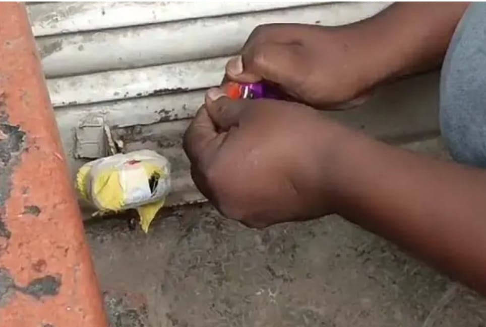 तीन बड़े अस्पताल और खंडेलवाल फर्नीचर के बेसमेंट एरिया सील तीन बड़े अस्पताल और खंडेलवाल फर्नीचर के बेसमेंट एरिया सील
