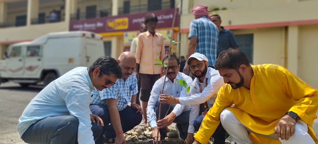 पौधे लगाएं साथ में देखभाल भी करें कुलसचिव पौधे लगाएं साथ में देखभाल भी करें कुलसचिव