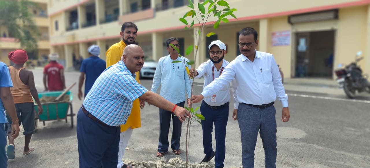 पौधे लगाएं साथ में देखभाल भी करें कुलसचिव पौधे लगाएं साथ में देखभाल भी करें कुलसचिव