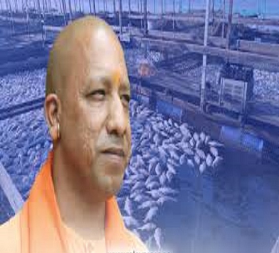योगी सरकार ने शुरू किया सघन मत्स्य पालन हेतु एयरेशन सिस्टम की स्थापना नामक नवीन योजना योगी सरकार ने शुरू किया सघन मत्स्य पालन हेतु एयरेशन सिस्टम की स्थापना नामक नवीन योजना