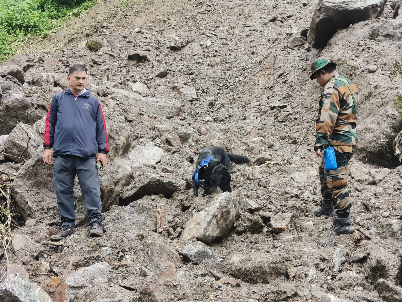 केदारघाटी रेस्क्यू। केदारघाटी रेस्क्यू।