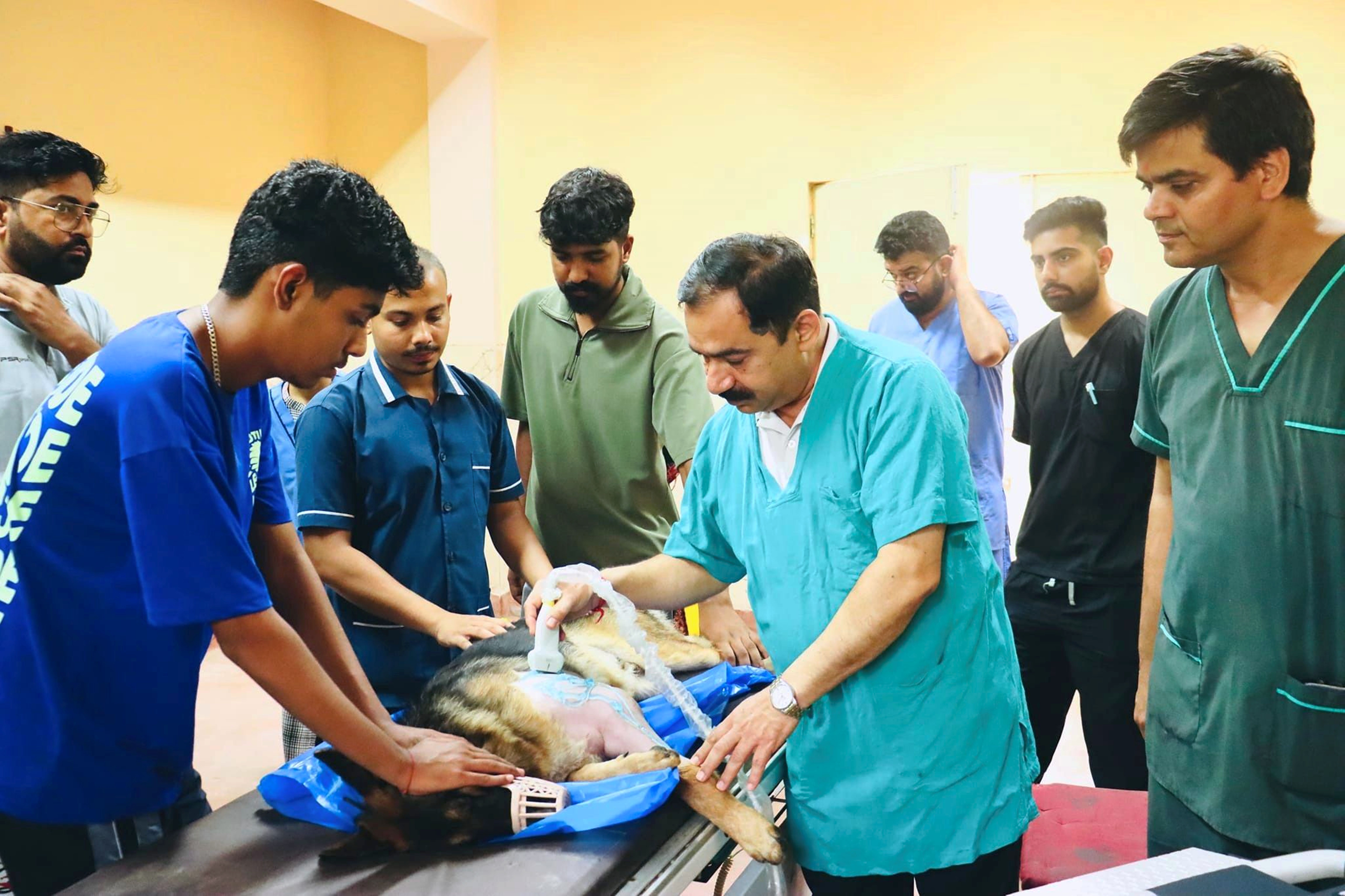 पशुओं का टेस्ट करते हुए। पशुओं का टेस्ट करते हुए।