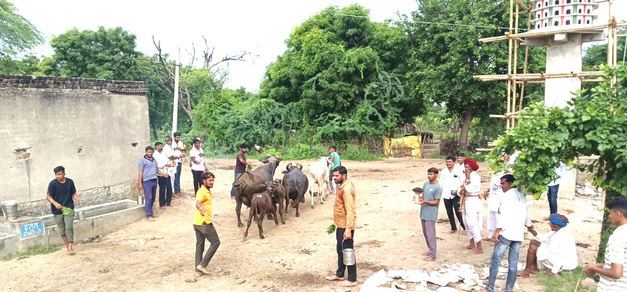 शाहपुरा में पालतू जानवरों को रोगमुक्त करने के लिए मनाया आस्था और परंपरा का अनूठा उत्सव ़