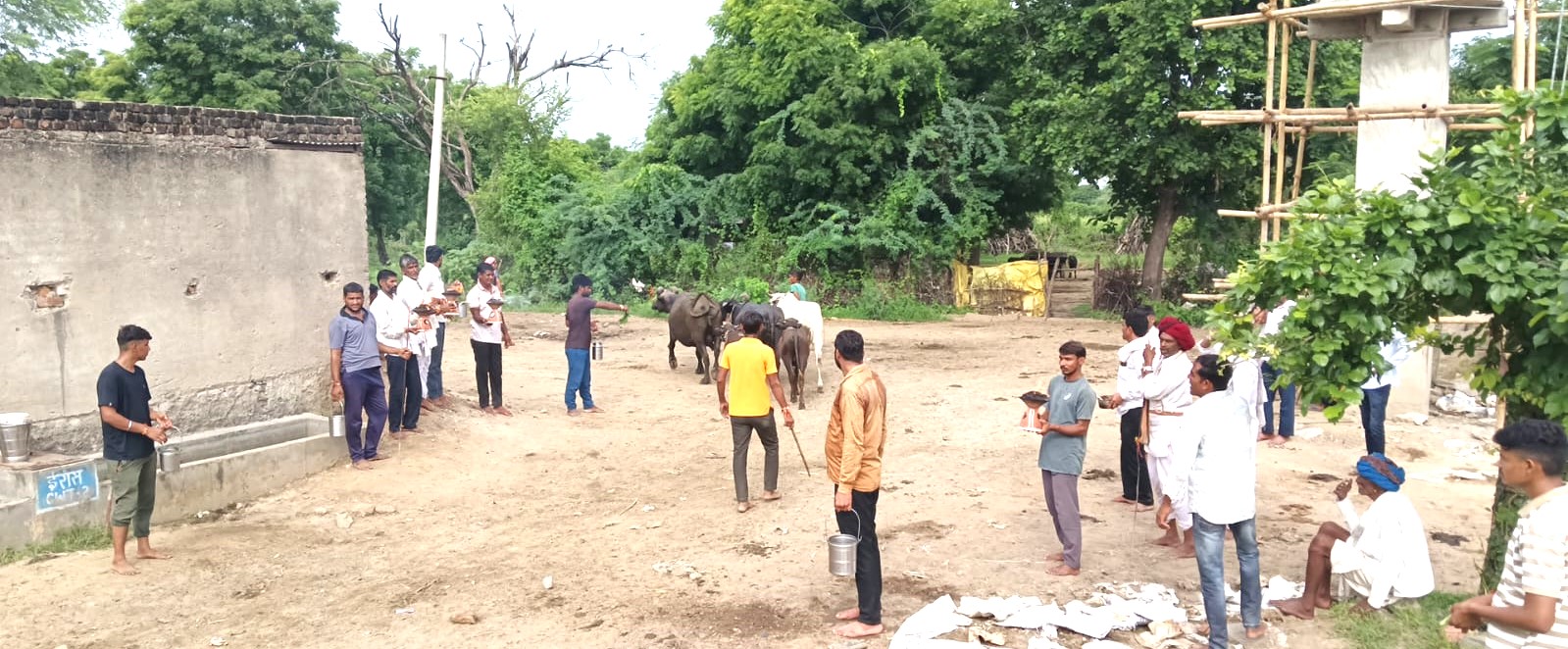 शाहपुरा में पालतू जानवरों को रोगमुक्त करने के लिए मनाया आस्था और परंपरा का अनूठा उत्सव ू शाहपुरा में पालतू जानवरों को रोगमुक्त करने के लिए मनाया आस्था और परंपरा का अनूठा उत्सव ू