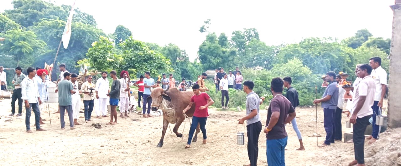 शाहपुरा में पालतू जानवरों को रोगमुक्त करने के लिए मनाया आस्था और परंपरा का अनूठा उत्सव