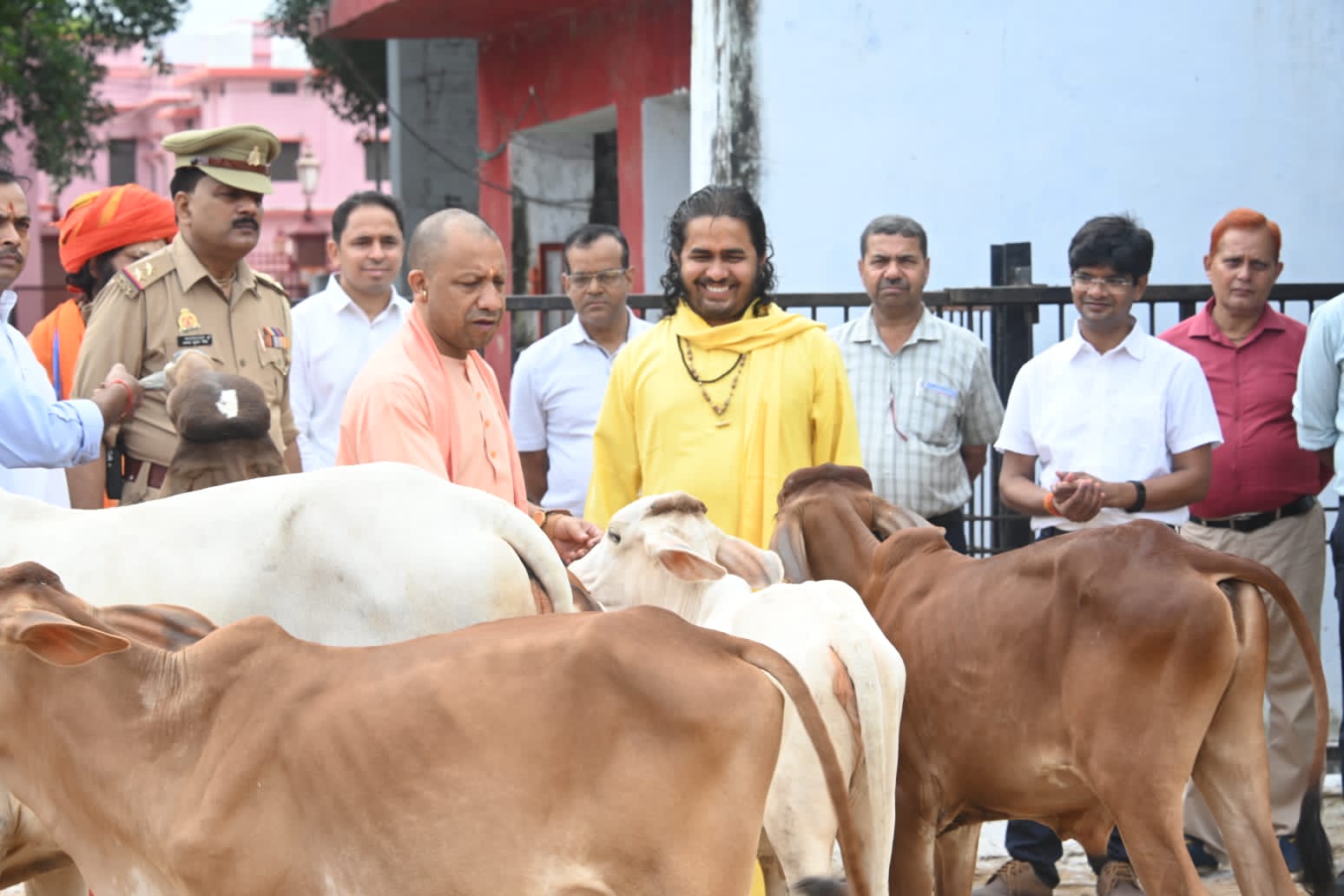गोवंश को दुलारकर गुड़ और केला खिलाया गोरक्षपीठाधीश्वर ने* गोवंश को दुलारकर गुड़ और केला खिलाया गोरक्षपीठाधीश्वर ने*