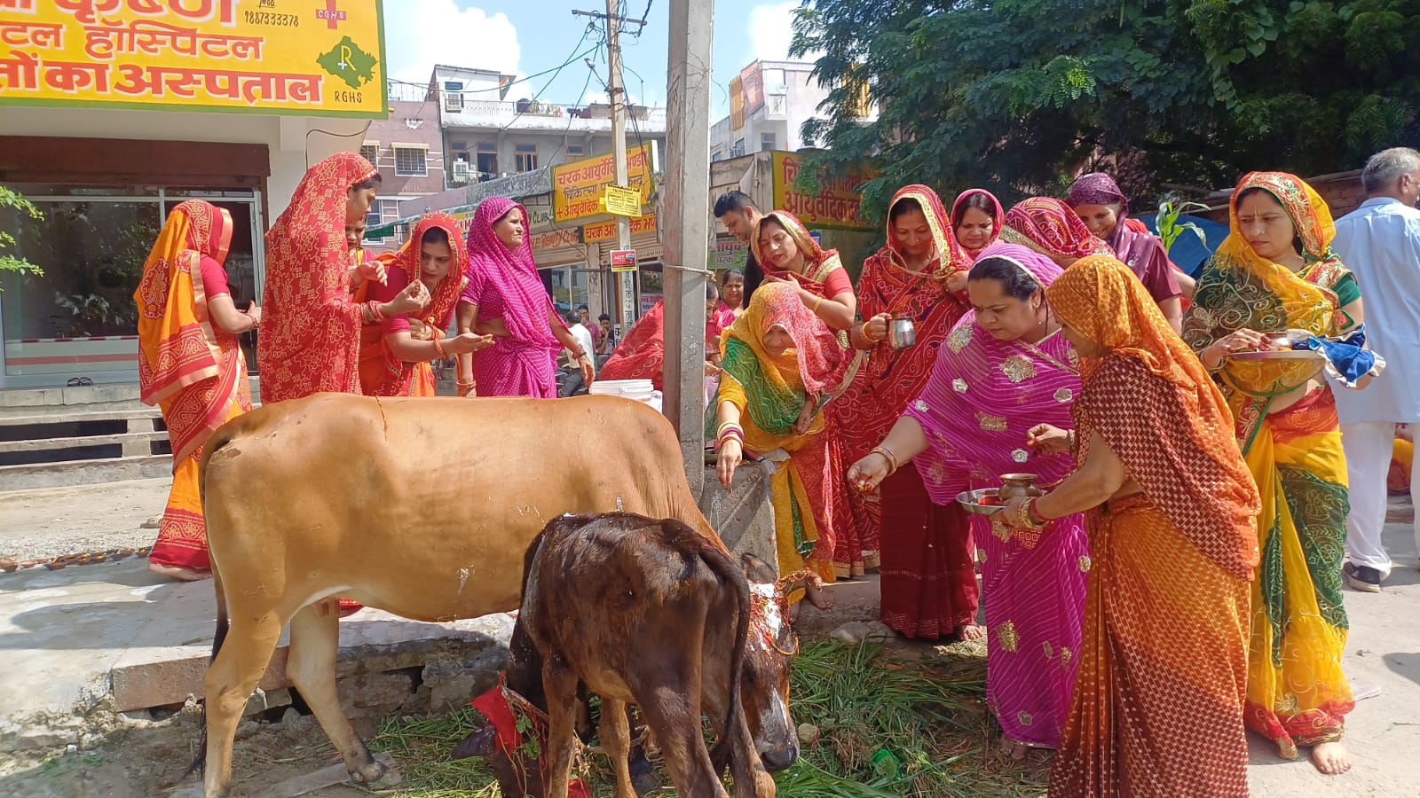 बच्छ बारस पर पुत्र की दीर्घायु के लिए महिलाओं ने रखा व्रत बच्छ बारस पर पुत्र की दीर्घायु के लिए महिलाओं ने रखा व्रत