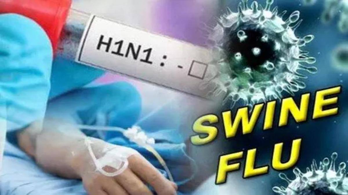 स्वाइन फ्लू से महिला की मौत,सांकेतिक चित्र स्वाइन फ्लू से महिला की मौत,सांकेतिक चित्र