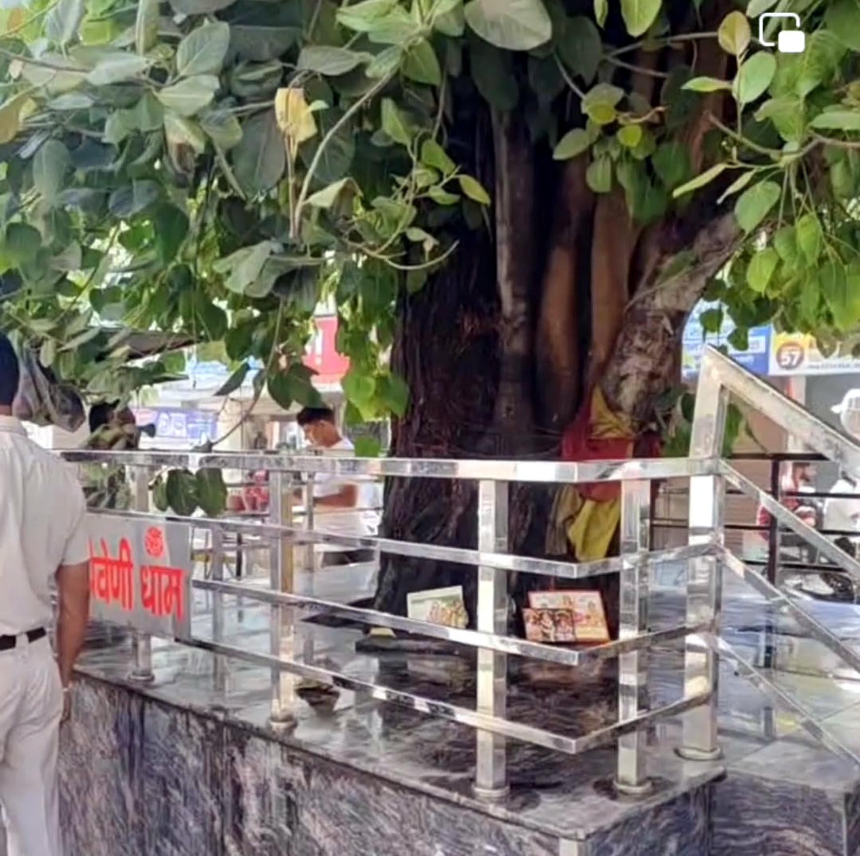 वह स्थान जहां बछड़े का सिर मिला। वह स्थान जहां बछड़े का सिर मिला।
