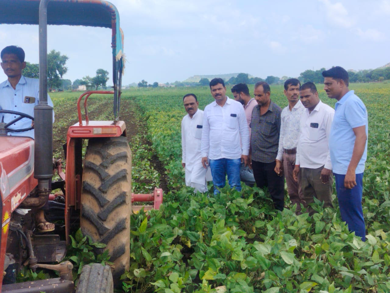 उडद सहित अन्य फसलों पर इल्लियों का प्रकोप किसान 6 बीघा पर चलाया रोटावेटर की फसल नष्ट उडद सहित अन्य फसलों पर इल्लियों का प्रकोप किसान 6 बीघा पर चलाया रोटावेटर की फसल नष्ट