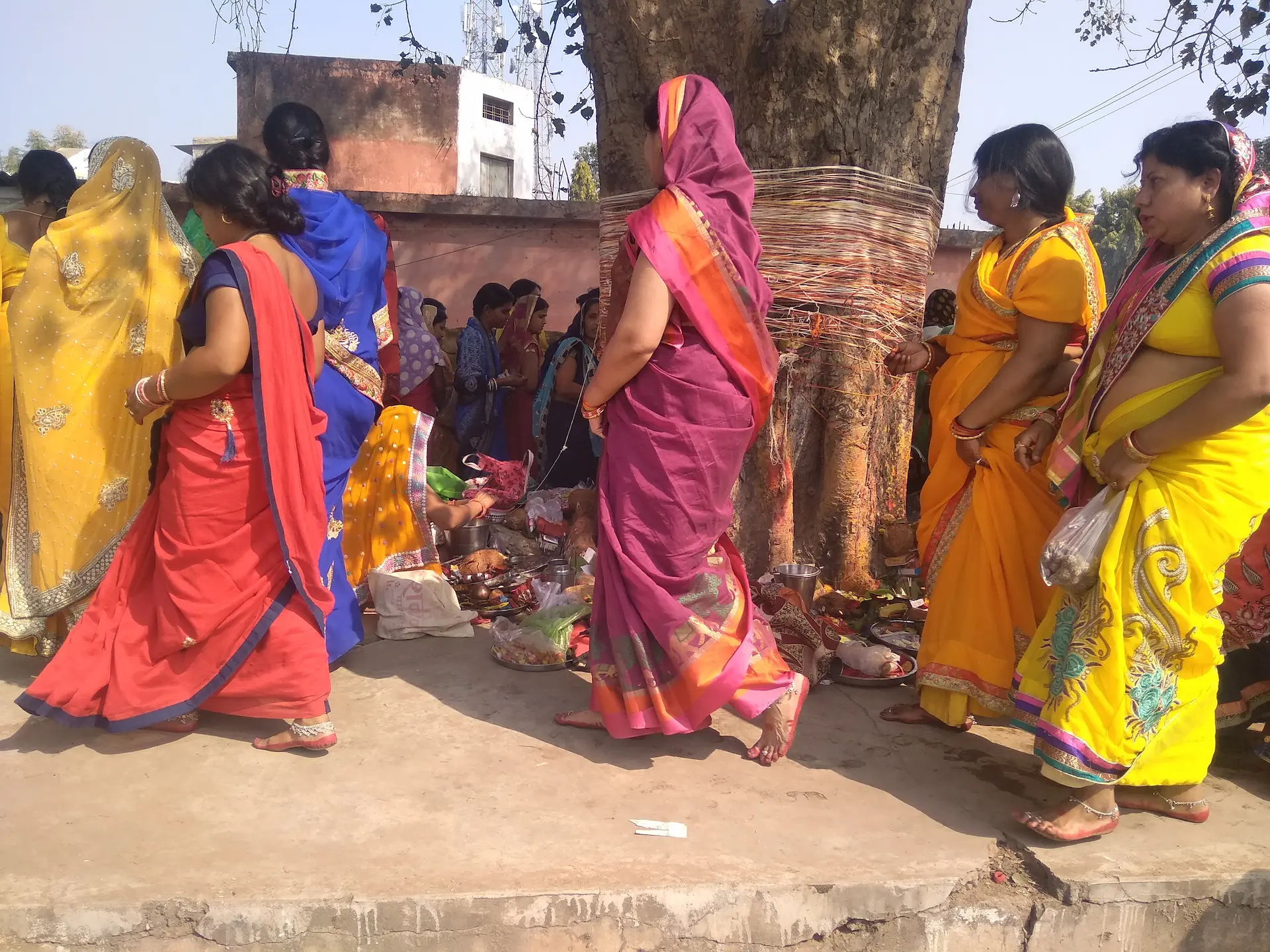 पीपल वृक्षों के तनों में अक्षय सूत्र के 108 परिक्रमा लगाती महिलायें पीपल वृक्षों के तनों में अक्षय सूत्र के 108 परिक्रमा लगाती महिलायें