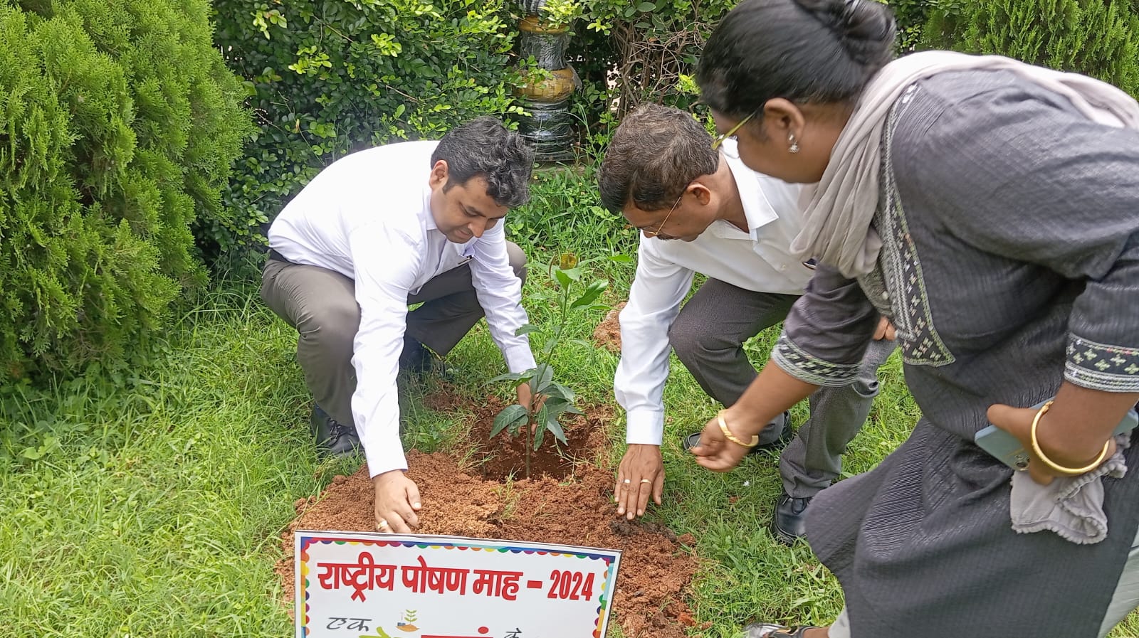 पौधा लगाते डीसी पौधा लगाते डीसी