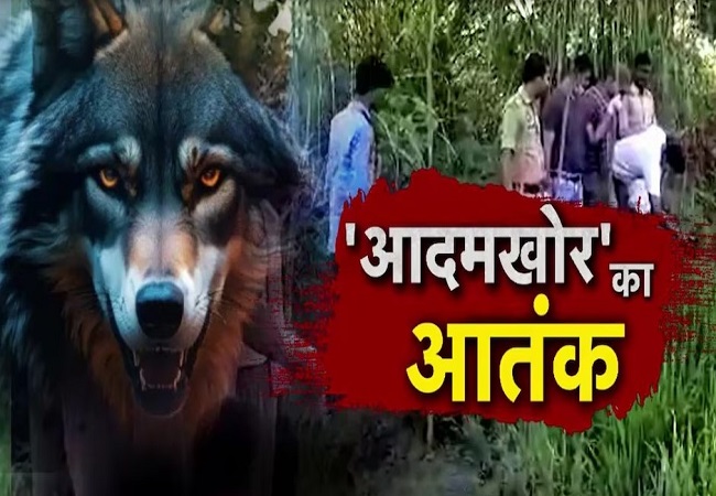 बहराइच में भेड़ियाें के आतंक से सम्बंधित सांकेतिक फाेटाे