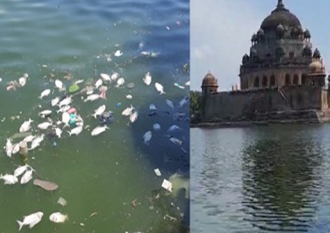 तालाब में मरी मछलियां एवं सूरी का किला तालाब में मरी मछलियां एवं सूरी का किला