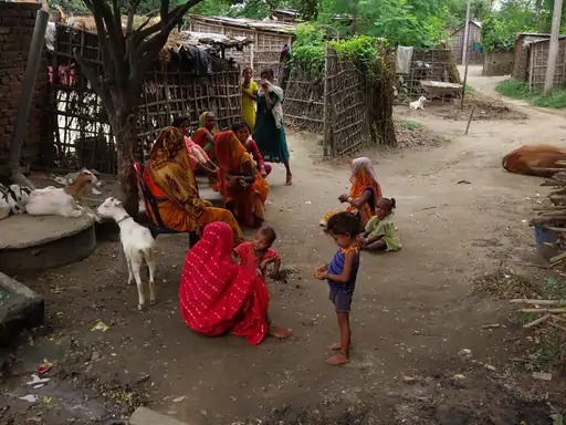 अररिया में अज्ञात बीमारी से 3 बच्चे सहित 5 की मौत, जिलें में मचा हड़कंप अररिया में अज्ञात बीमारी से 3 बच्चे सहित 5 की मौत, जिलें में मचा हड़कंप