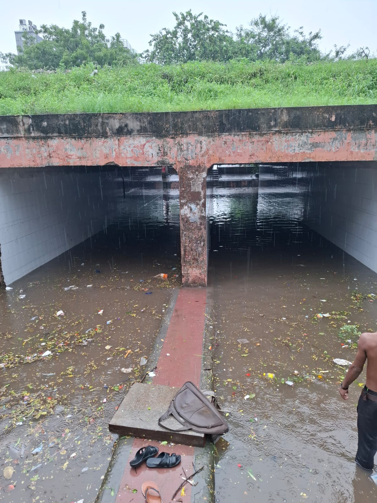 राजस्थान में भारी बारिश 3 राजस्थान में भारी बारिश 3