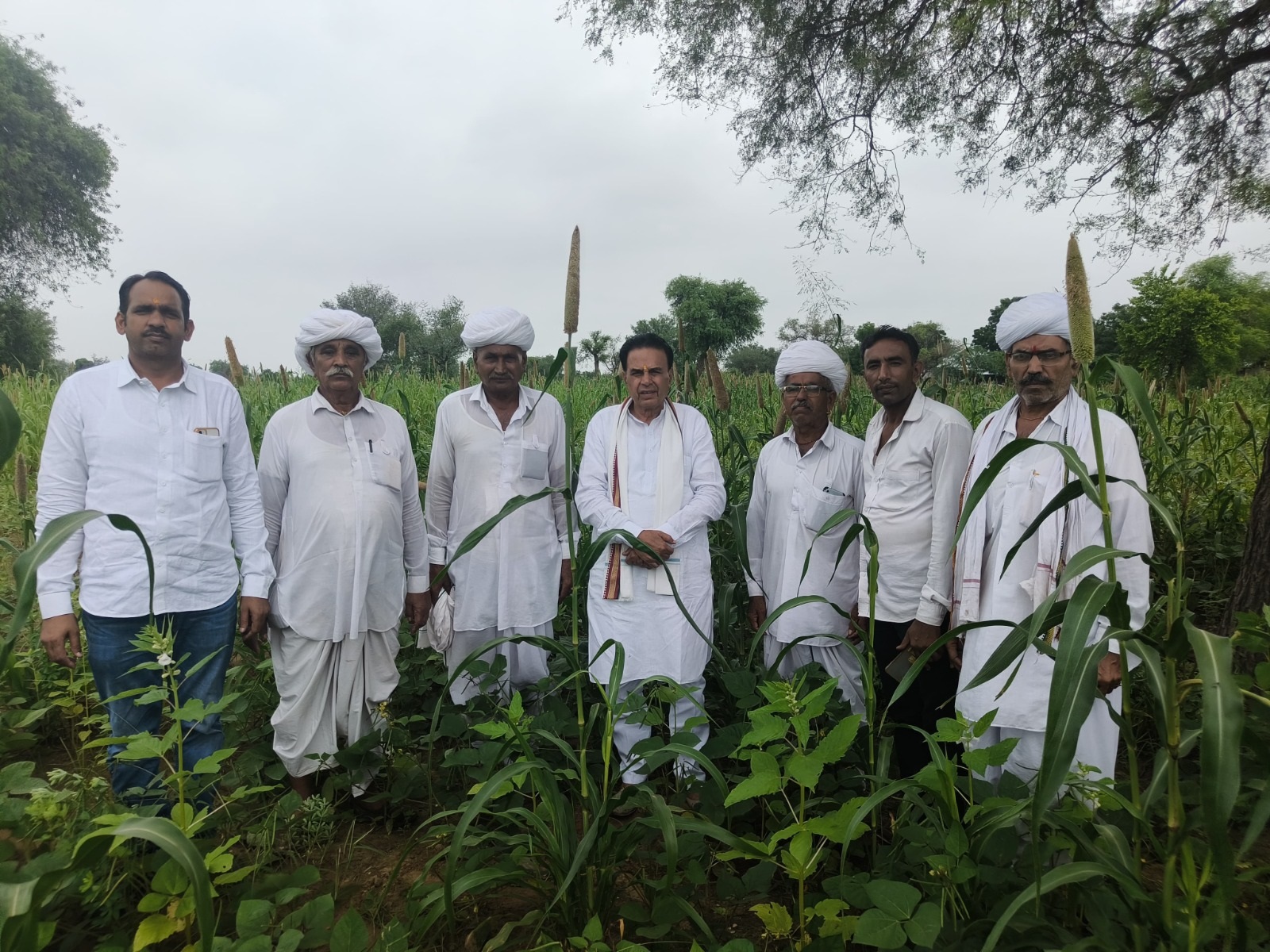 काश्तकारों के साथ फसल खराबे का निरीक्षण कर किसानों की समस्याओं को सुना काश्तकारों के साथ फसल खराबे का निरीक्षण कर किसानों की समस्याओं को सुना