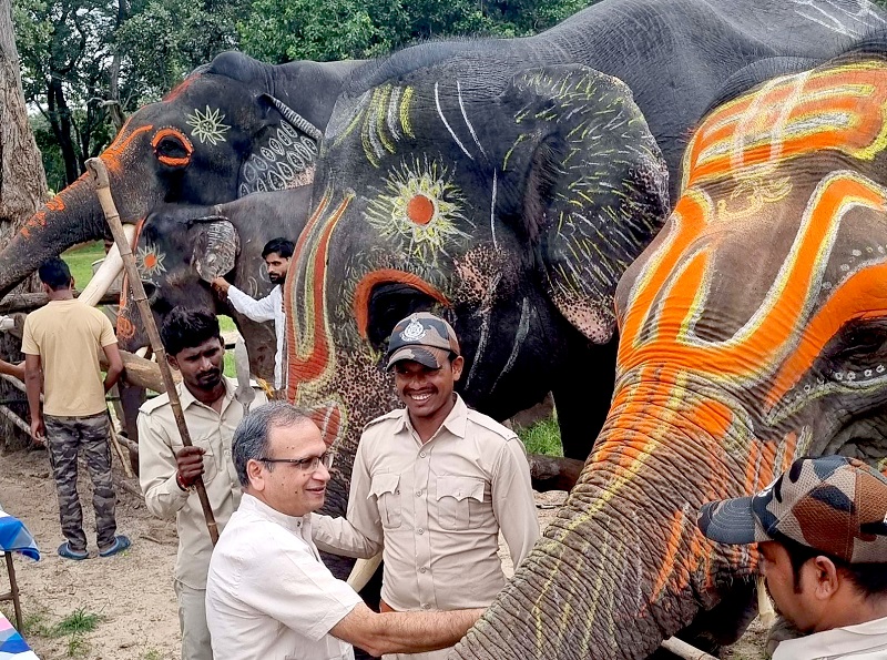 मप्रः बांधवगढ टाइगर रिजर्व में हाथी महोत्सव शुरू, सात दिवस चलेगी हाथियों की पिकनिक मप्रः बांधवगढ टाइगर रिजर्व में हाथी महोत्सव शुरू, सात दिवस चलेगी हाथियों की पिकनिक