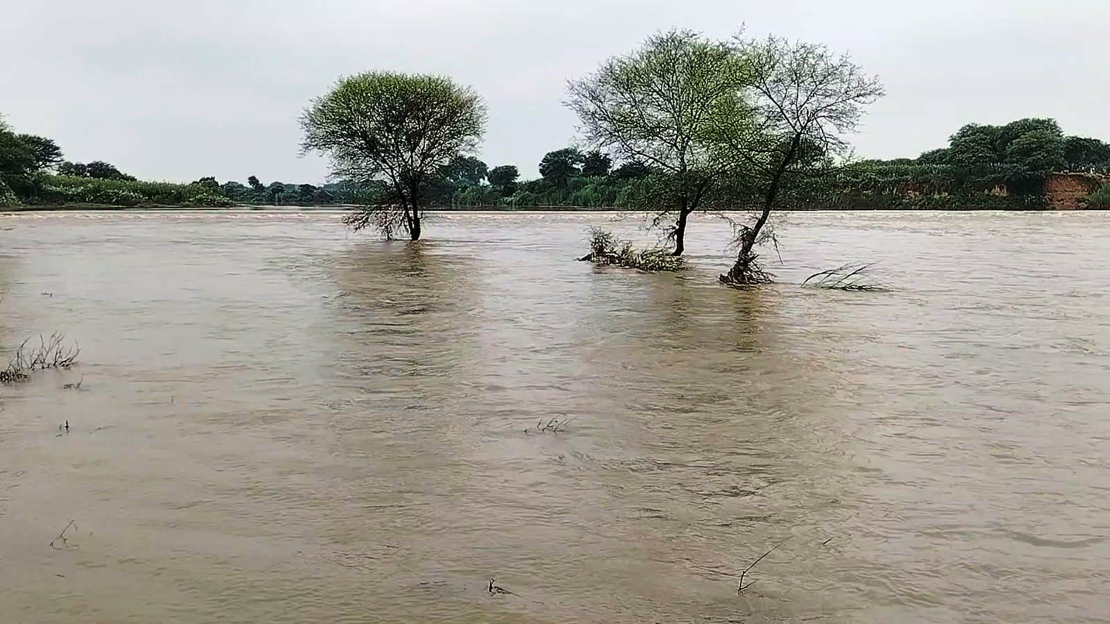 दुखद : धौलपुर में पार्वती नदी में चार किशोरियां डूबी,रेसक्यू आपरेशन जारी