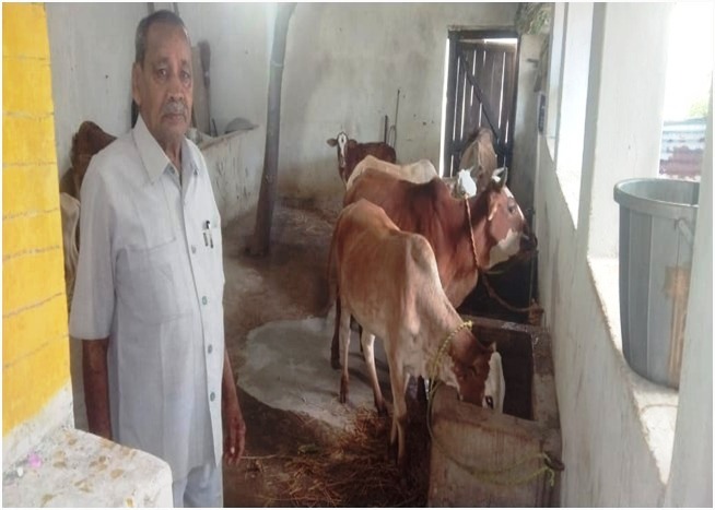 मनरेगा से हुआ पशु आश्रय स्थल निर्माण कार्य मनरेगा से हुआ पशु आश्रय स्थल निर्माण कार्य