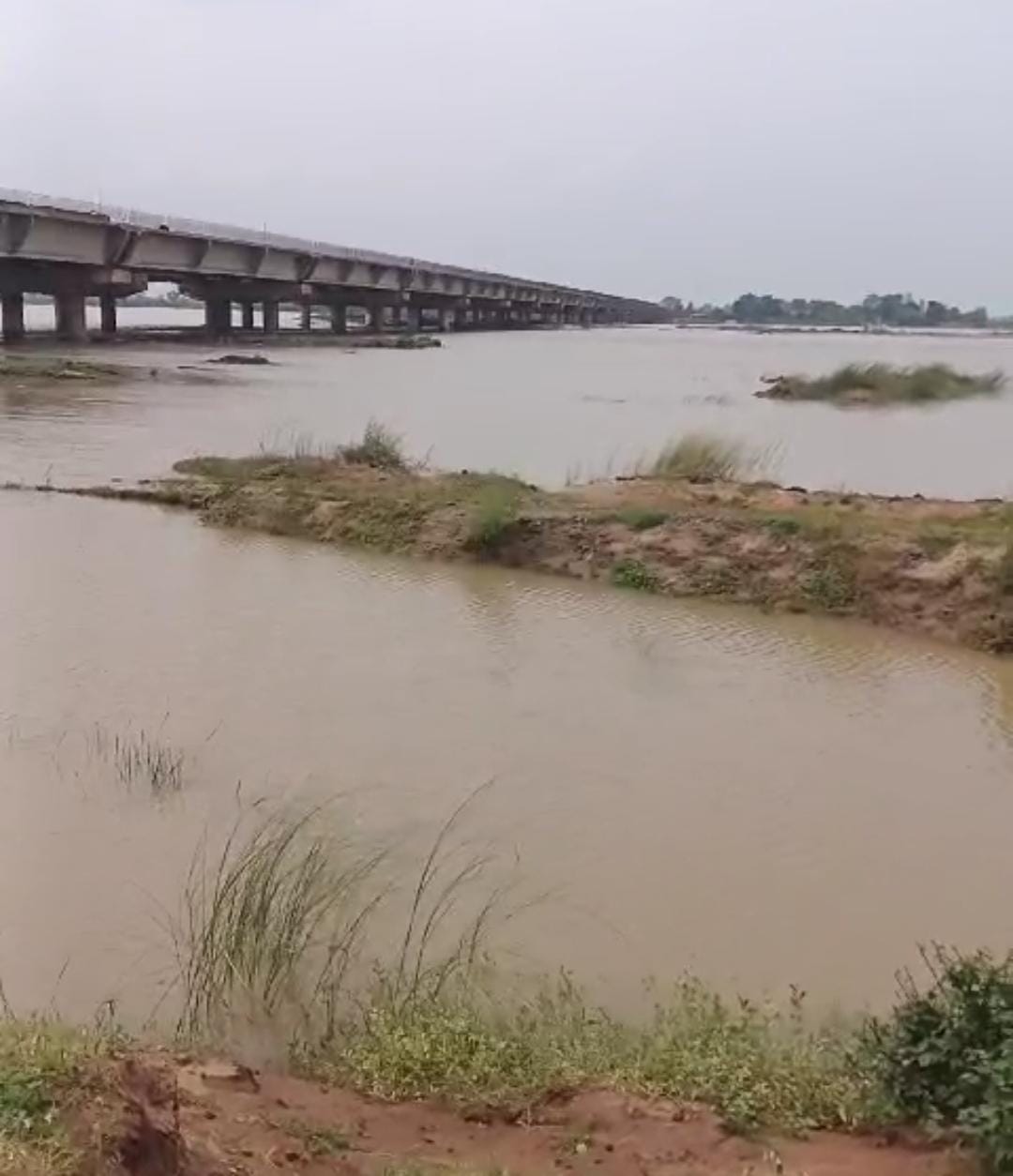 महानदी की बाढ़ आने से तटीय इलाको में बह रहा पानी। महानदी की बाढ़ आने से तटीय इलाको में बह रहा पानी।