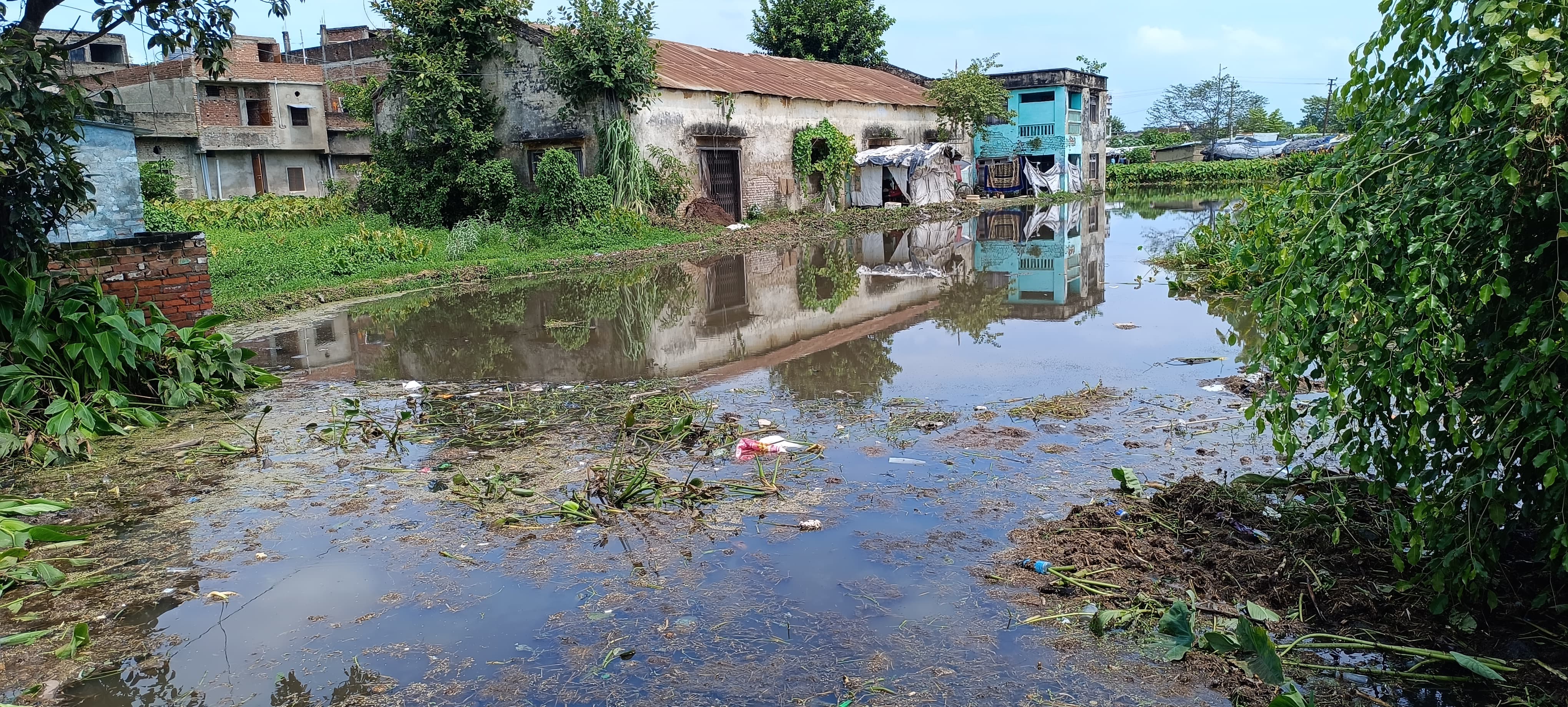 जलजमाव से ग्रसित रक्सौल नगर परिषद क्षेत्र जलजमाव से ग्रसित रक्सौल नगर परिषद क्षेत्र