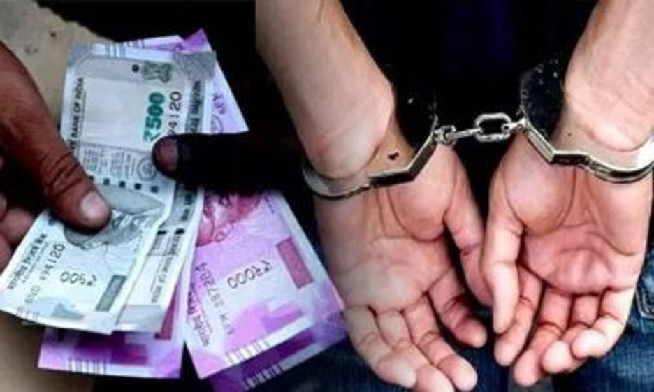 20 Snp-4 सोनीपत: सांकेतिक फोटो 20 Snp-4 सोनीपत: सांकेतिक फोटो