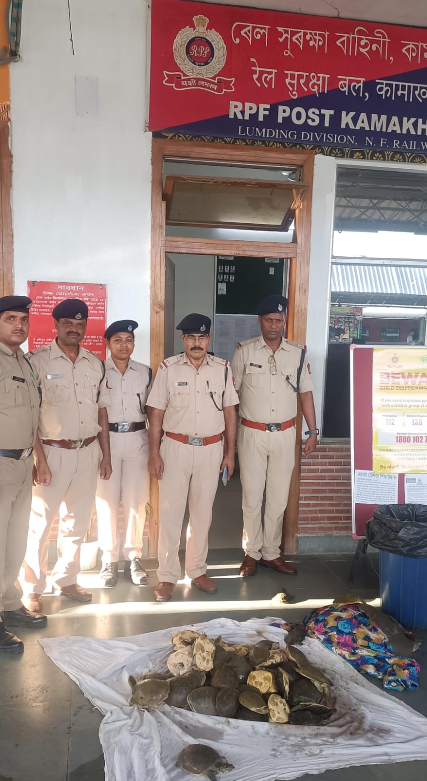 आरपीएफ की एक टीम ने शनिवार को कामाख्या रेलवे स्टेशन से 52 जीवित कछुओं को बचाया आरपीएफ की एक टीम ने शनिवार को कामाख्या रेलवे स्टेशन से 52 जीवित कछुओं को बचाया