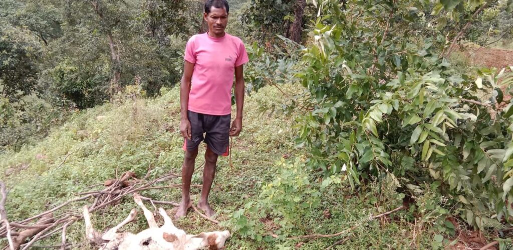 हाथी का आतंक हाथी का आतंक