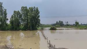 गंगा का बढ़ रहा जलस्तर, कई गांवों के खेतों में पानी भरा गंगा का बढ़ रहा जलस्तर, कई गांवों के खेतों में पानी भरा