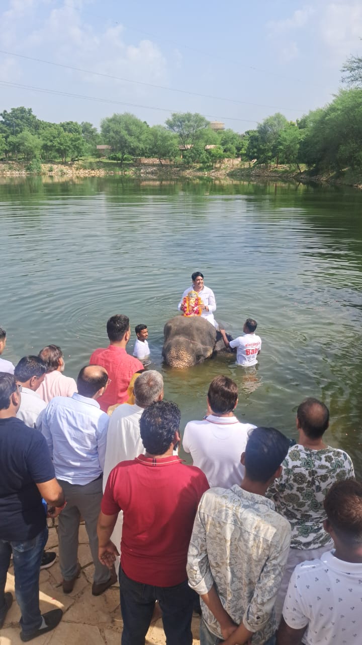 आमेर के हाथी गांव में अविनाश गहलोत ने किया गणपति विसर्जन आमेर के हाथी गांव में अविनाश गहलोत ने किया गणपति विसर्जन