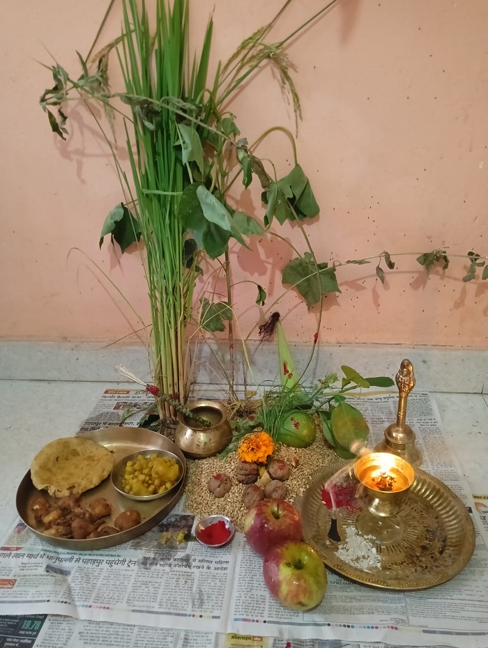 सायर के त्योहार के लिए सायर और अखरोट सायर के त्योहार के लिए सायर और अखरोट