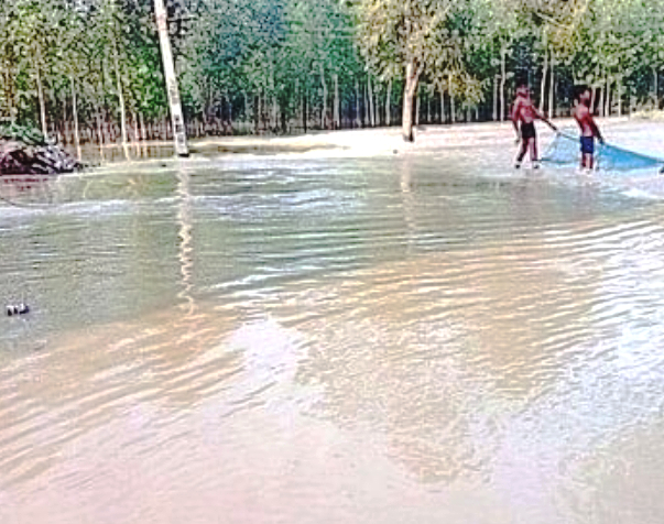 मूंढापांडे ब्लॉक के रनियाठेर-गदईखेड़ा मार्ग पर भरा बाढ़ का पानी। मूंढापांडे ब्लॉक के रनियाठेर-गदईखेड़ा मार्ग पर भरा बाढ़ का पानी।