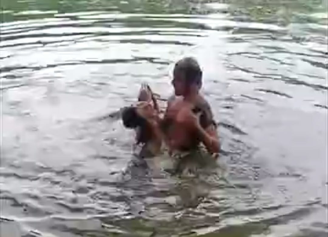 तालाब में डूबे बच्चे को निकालता गोताखोर तालाब में डूबे बच्चे को निकालता गोताखोर