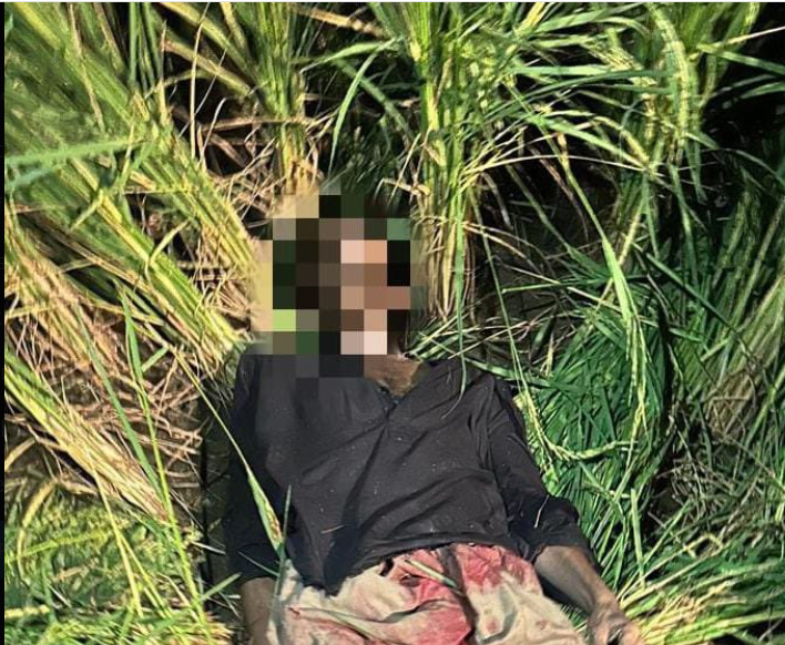 भारत पाक सीमा पर बीएसएफ द्वारा ढेर किया गया घुसपैठिया भारत पाक सीमा पर बीएसएफ द्वारा ढेर किया गया घुसपैठिया