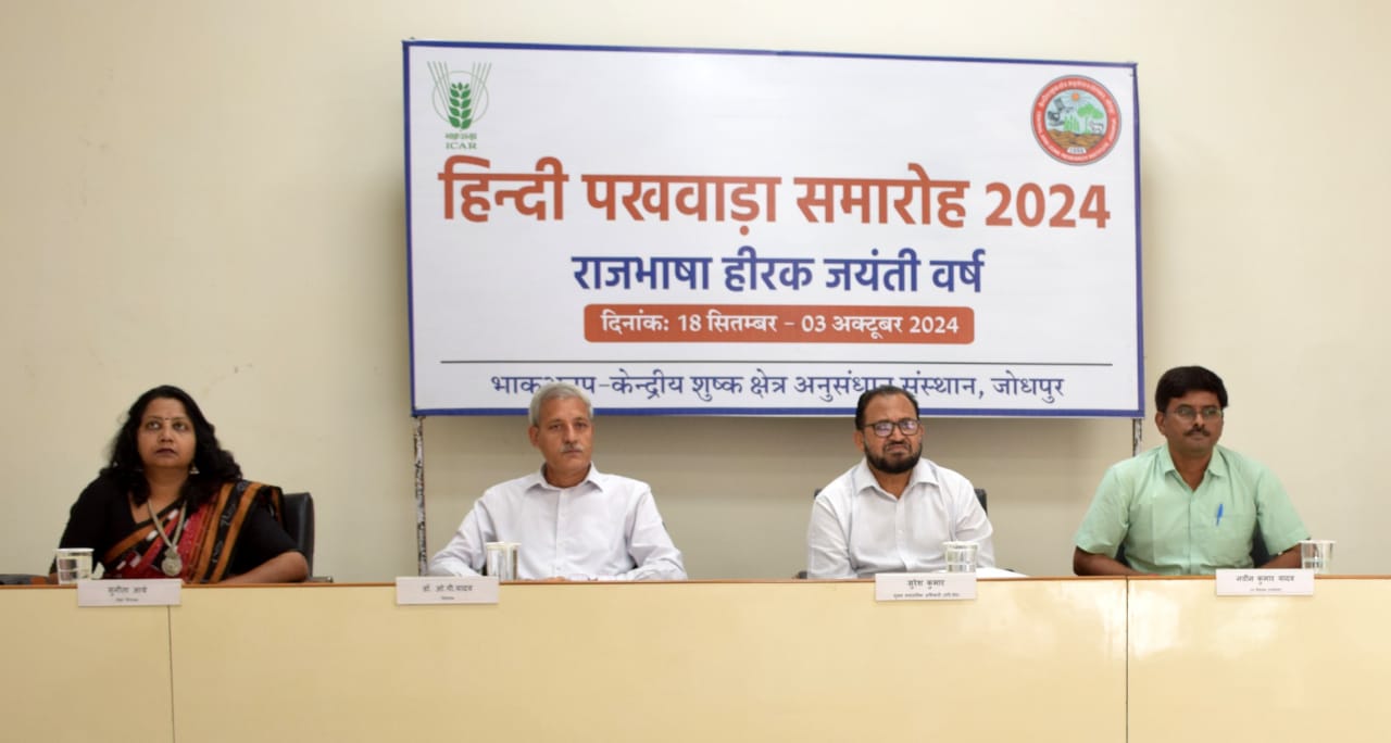 काजरी काजरी