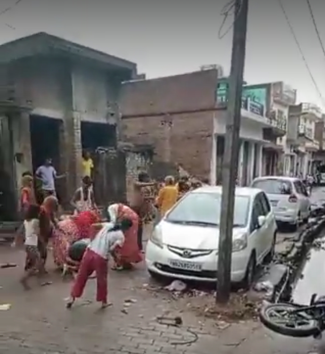 वायरल वीडीओ वायरल वीडीओ