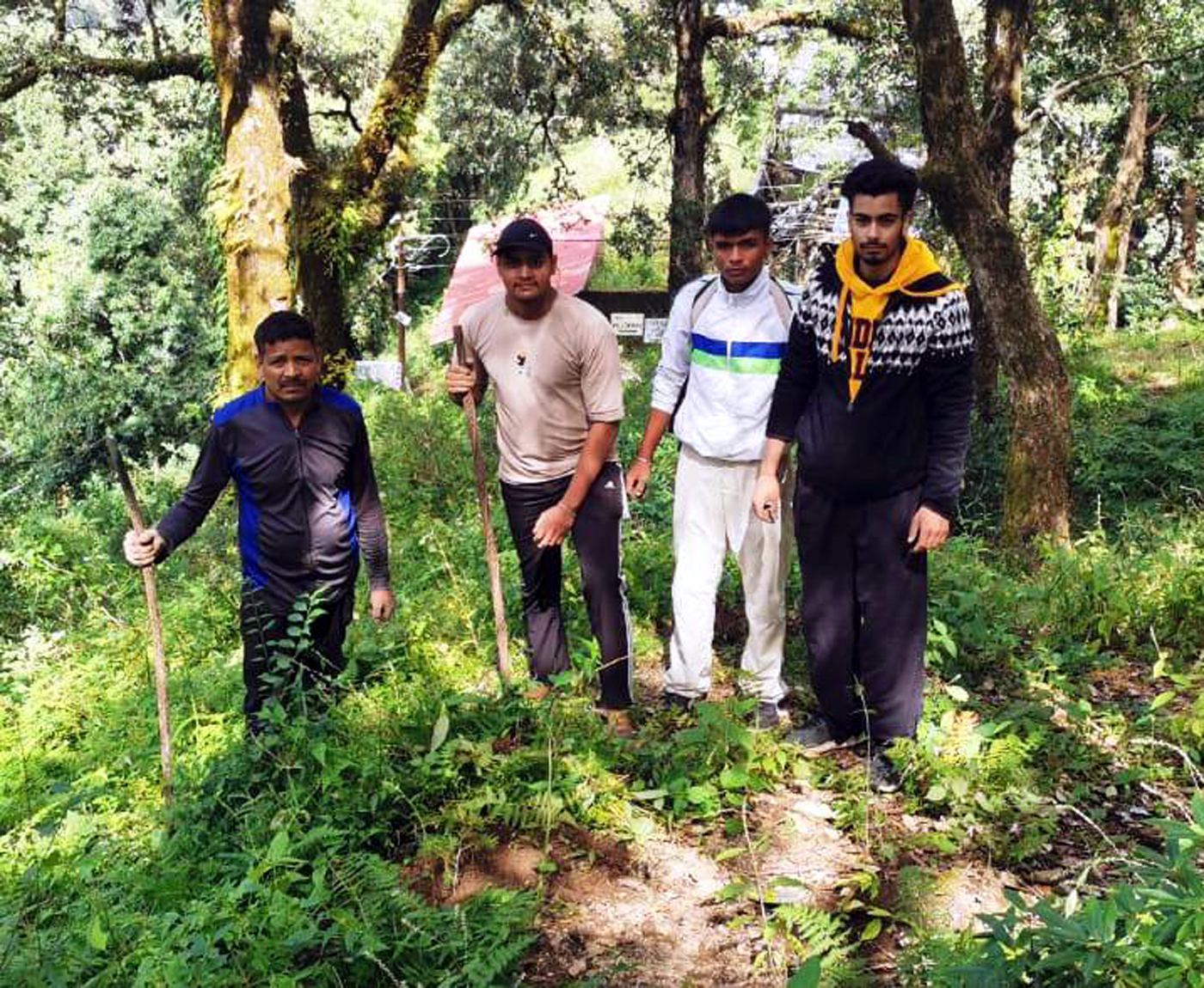अरविंद आश्रम के पास जंगल में पौधे लगाते संस्था के सदस्य।