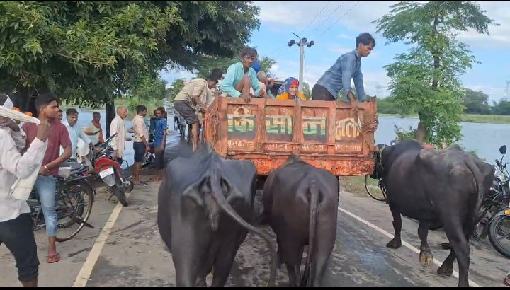 गांवाें में घुसे नदी के पानी के चलते पलायन करते गांव वाले गांवाें में घुसे नदी के पानी के चलते पलायन करते गांव वाले