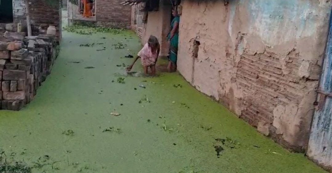 घर से बाहर निकलती महिला घर से बाहर निकलती महिला