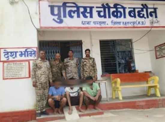 छतरपुर : 20 लाख कीमत के गांजे के 289 पेड़ जब्त , तीन गिरफ्तार छतरपुर : 20 लाख कीमत के गांजे के 289 पेड़ जब्त , तीन गिरफ्तार